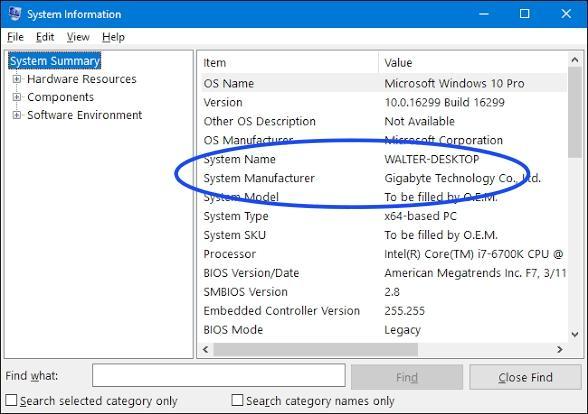 Windows System Information window on the System Summary page, with the System Name row circled